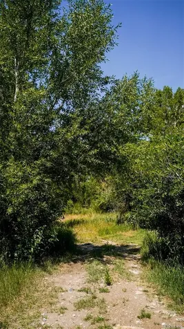 8116 Fawn Run Salida CO 81201