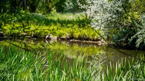 8116 Fawn Run Salida CO 81201
