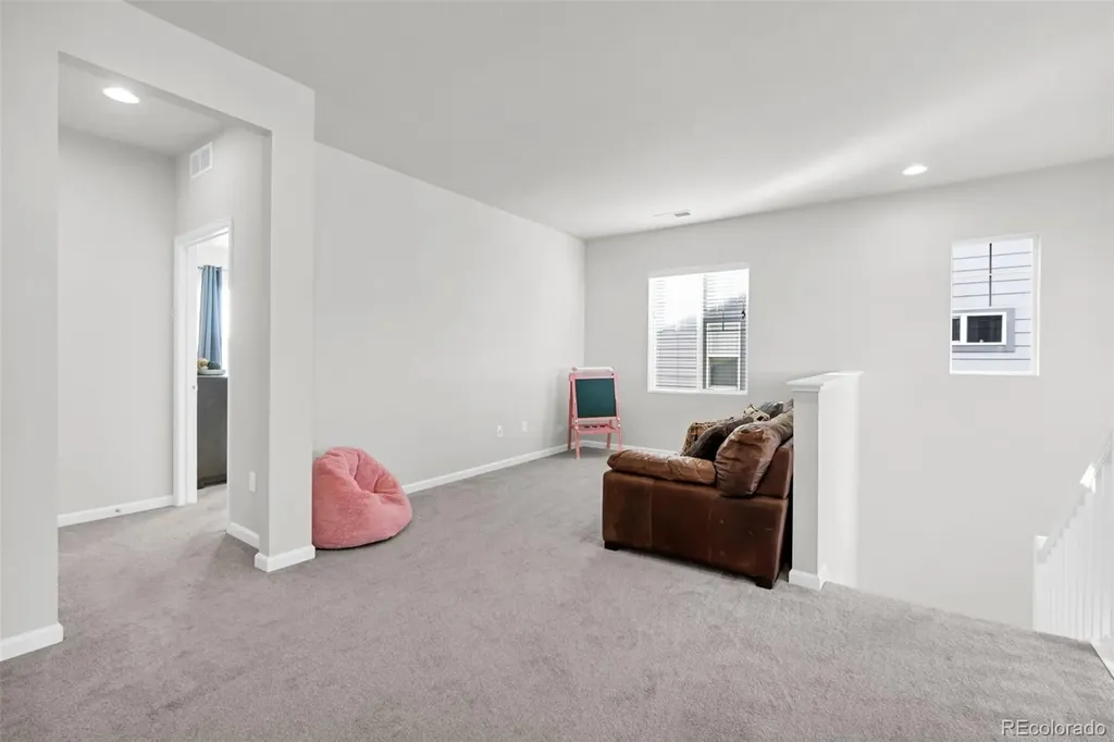 1172 Basalt Ridge Loop Castle Rock CO 80108