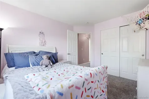 4844 Apollo Bay Drive Highlands Ranch CO 80130