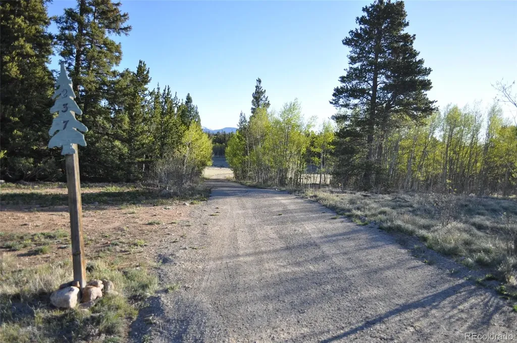 237 Foxtail Court Fairplay CO 80440