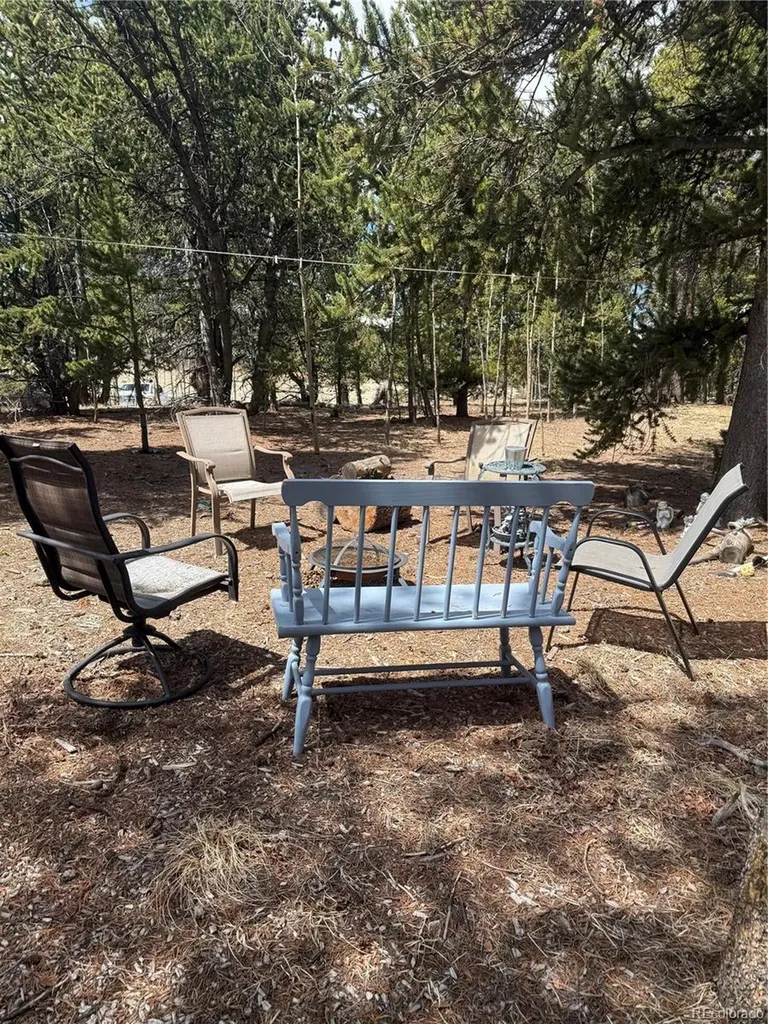 237 Foxtail Court Fairplay CO 80440