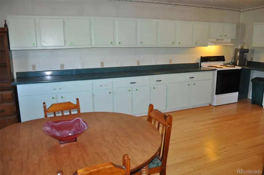237 Foxtail Court Fairplay CO 80440
