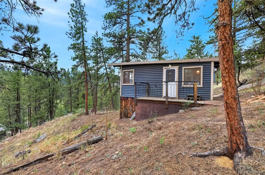 354 Mesa Drive Evergreen CO 80439