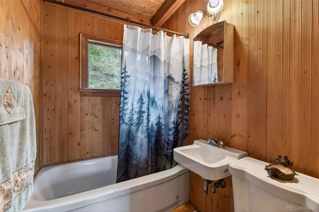 354 Mesa Drive Evergreen CO 80439