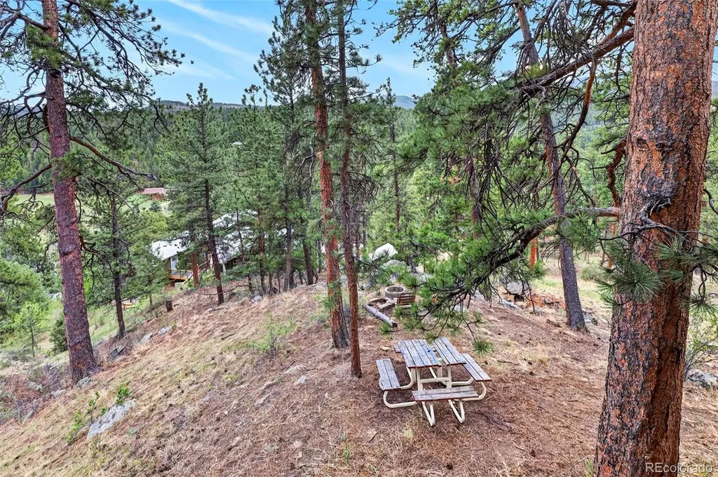 354 Mesa Drive Evergreen CO 80439
