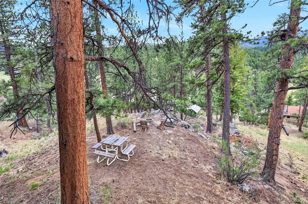 354 Mesa Drive Evergreen CO 80439