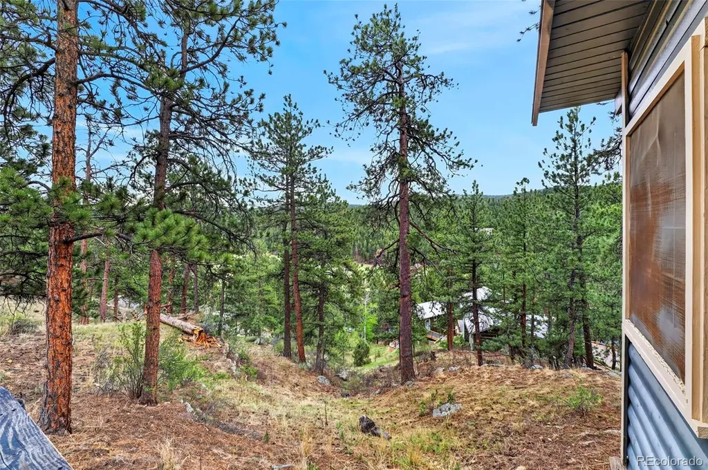 354 Mesa Drive Evergreen CO 80439