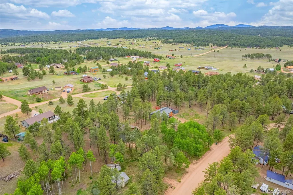 114 Homestead Lane Florissant CO 80816