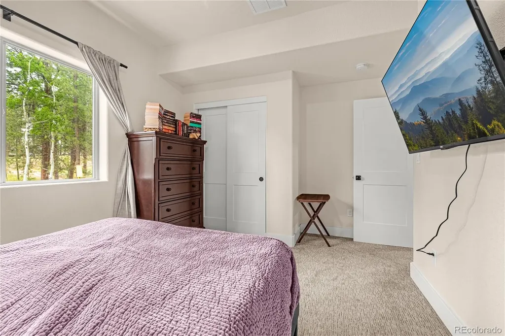 114 Homestead Lane Florissant CO 80816