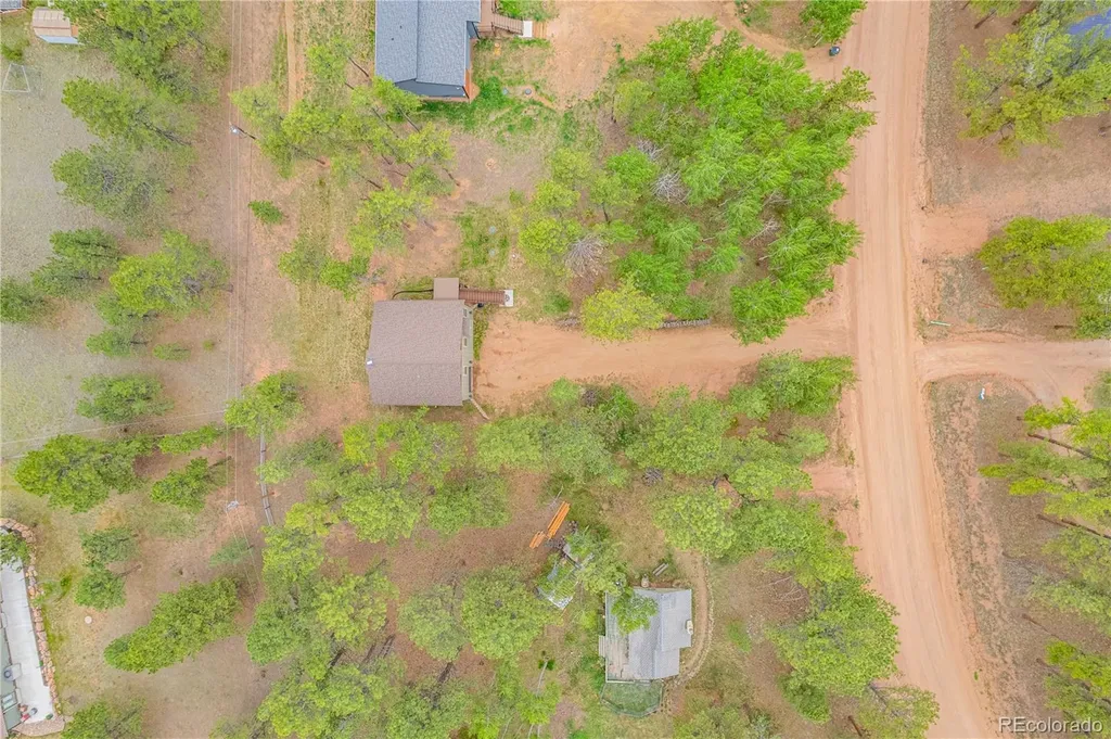 114 Homestead Lane Florissant CO 80816