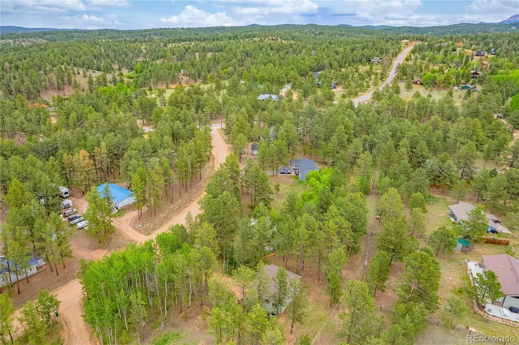114 Homestead Lane Florissant CO 80816
