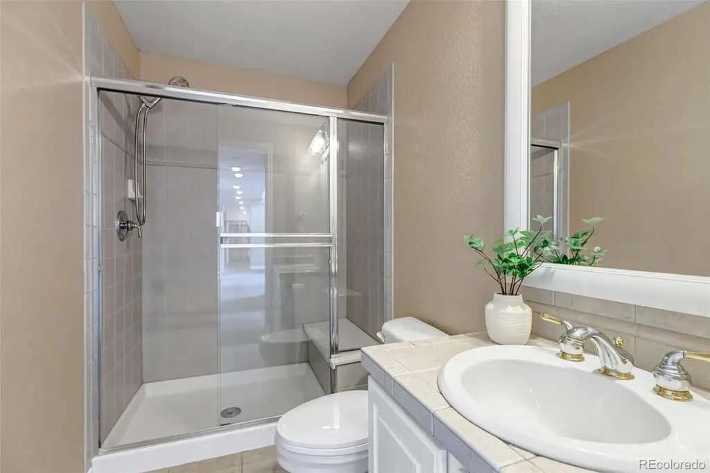 1645 Birchleaf Court Castle Rock CO 80104
