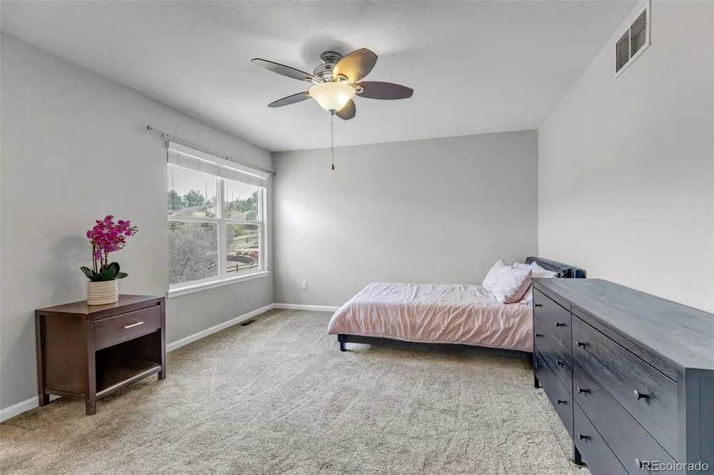 1645 Birchleaf Court Castle Rock CO 80104