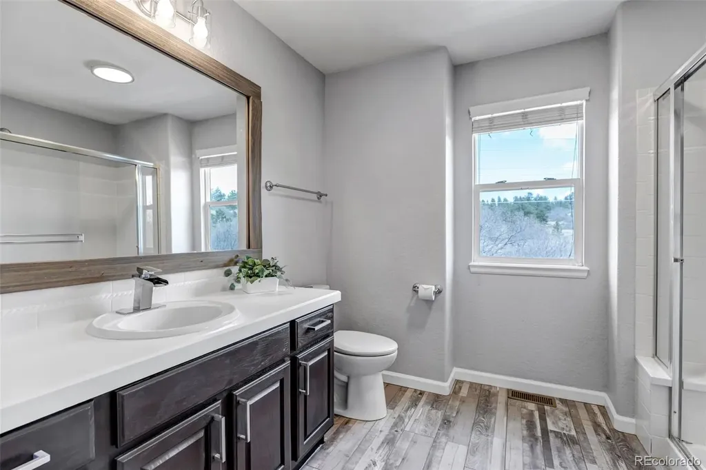 1645 Birchleaf Court Castle Rock CO 80104