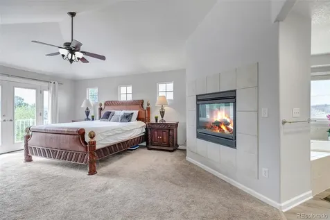 1645 Birchleaf Court Castle Rock CO 80104