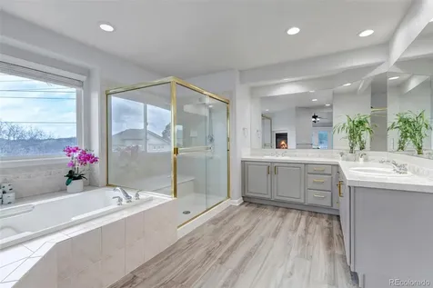 1645 Birchleaf Court Castle Rock CO 80104