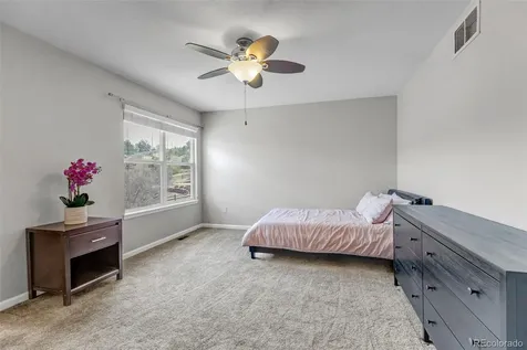 1645 Birchleaf Court Castle Rock CO 80104