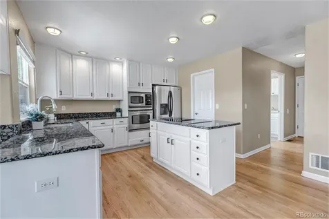 1645 Birchleaf Court Castle Rock CO 80104