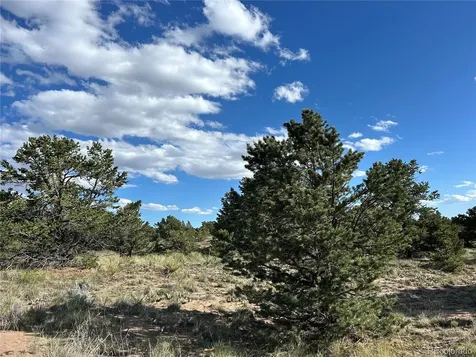 322 Holiday Overlook Crestone CO 81131