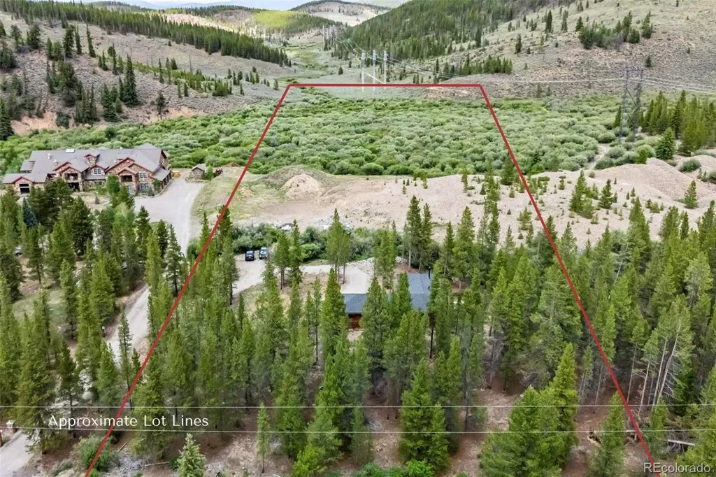 2383 Tiger Road Breckenridge CO 80424
