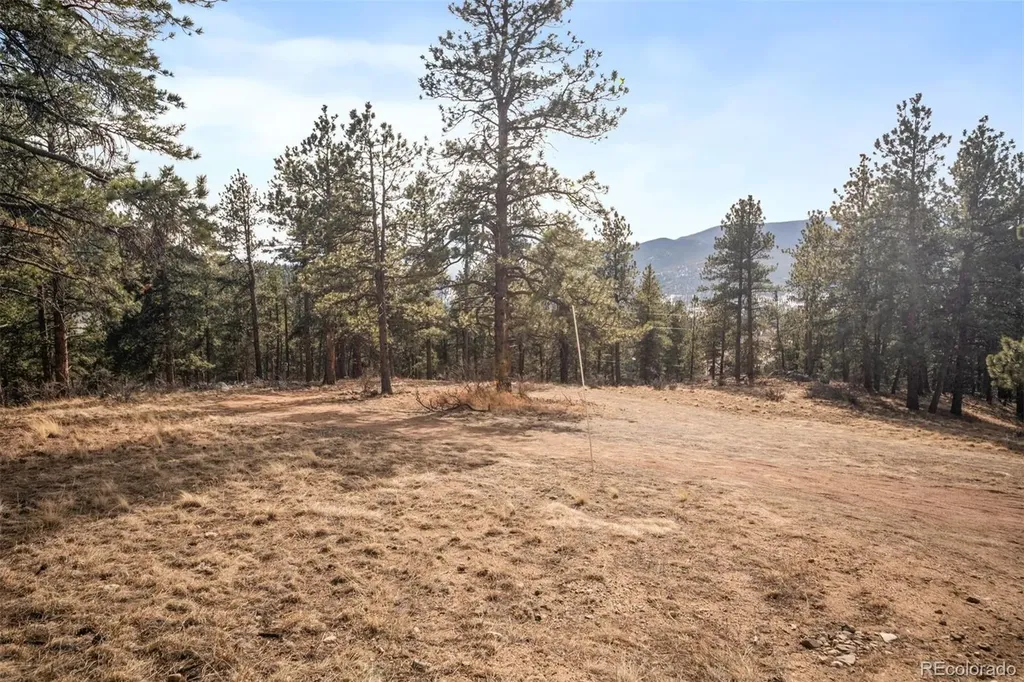 260 Bailey Drive Bailey CO 80421