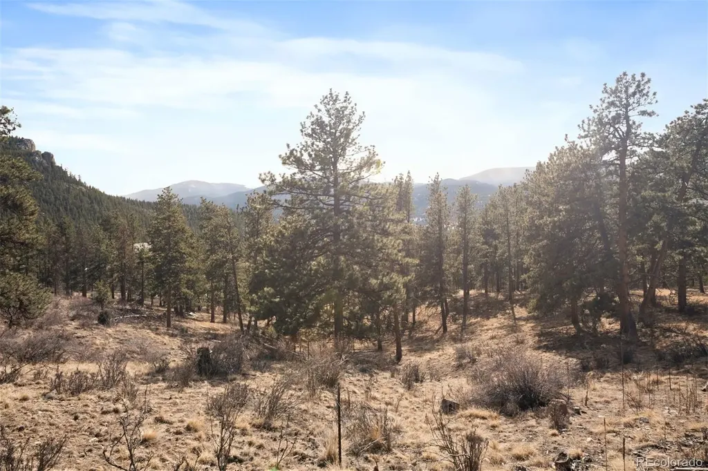 260 Bailey Drive Bailey CO 80421