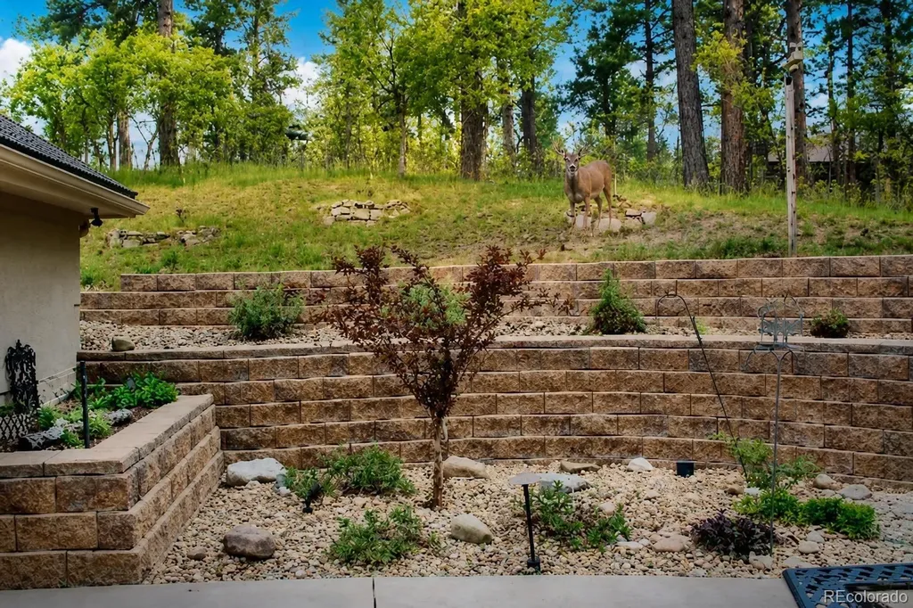 620 Cumberland Road Larkspur CO 80118