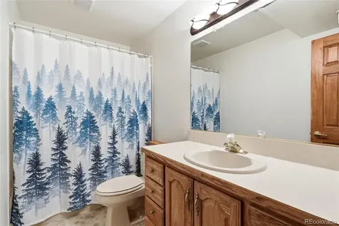 17955 Tom Boy Way Monument CO 80132
