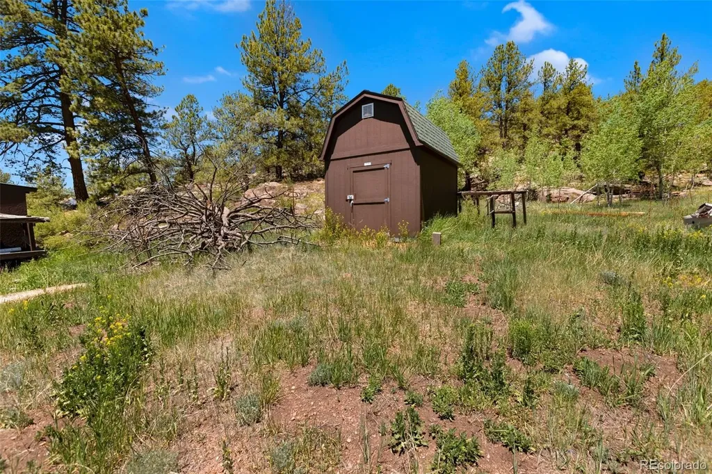 185 Canyon Drive Florissant CO 80816