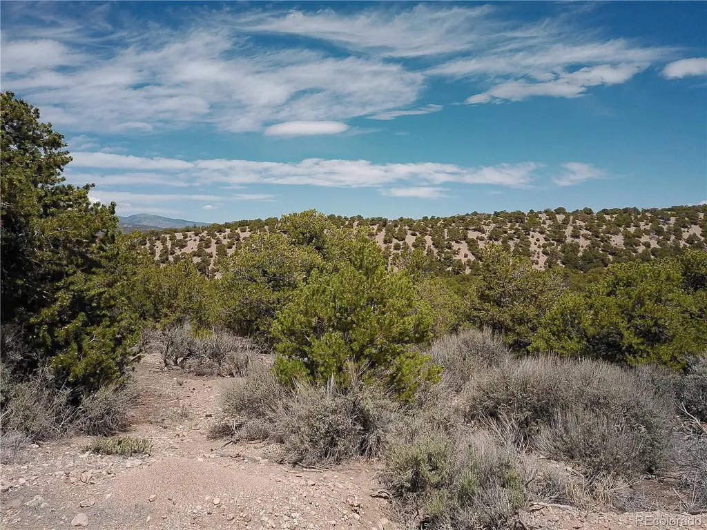 Andrus Road Fort Garland CO 81132