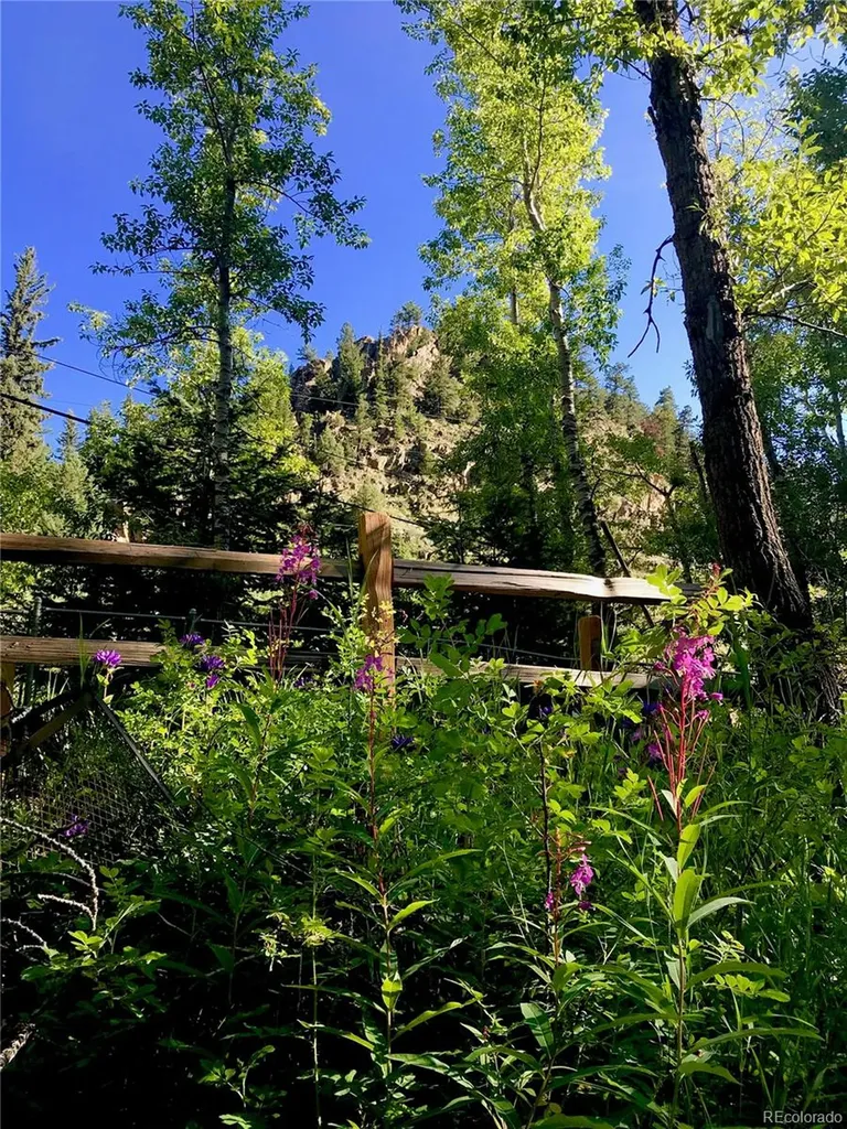 4421 Colorado Highway 103 Idaho Springs CO 80452