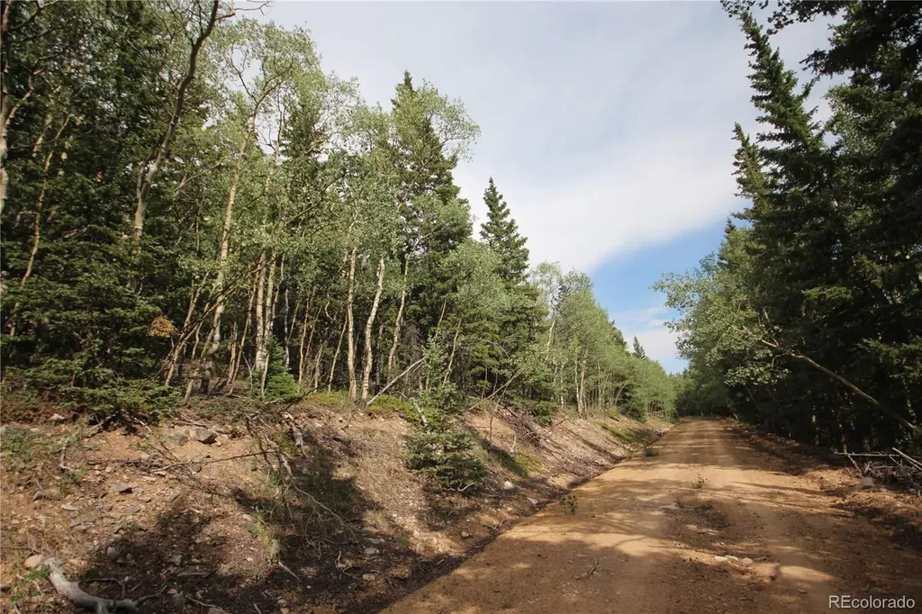 Lot 6573 Ackerman Road San Luis CO 81152