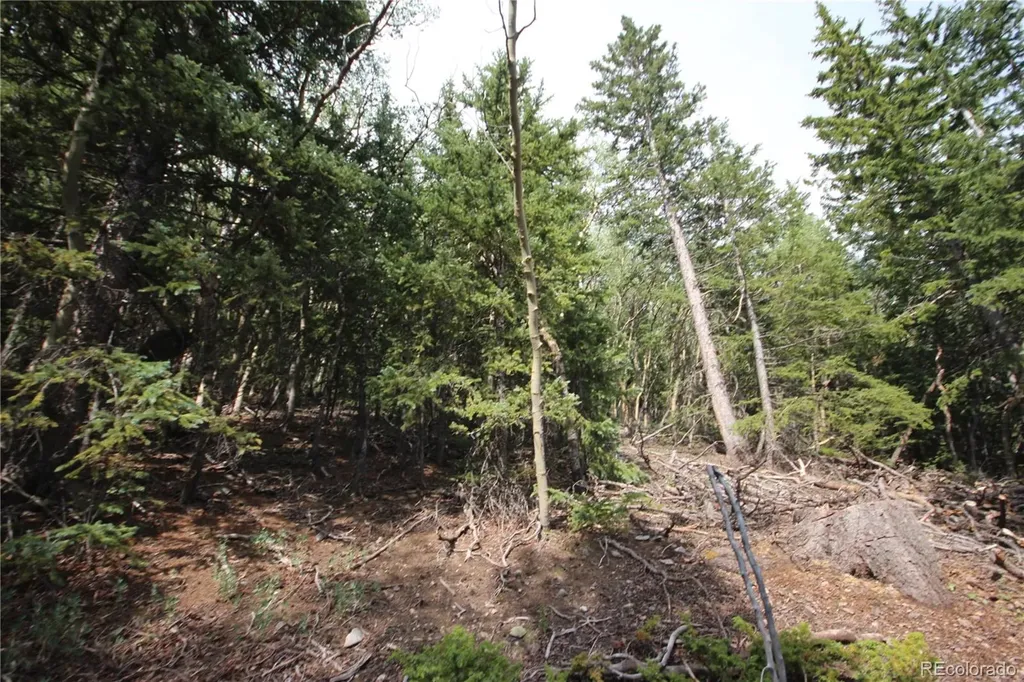Lot 6573 Ackerman Road San Luis CO 81152