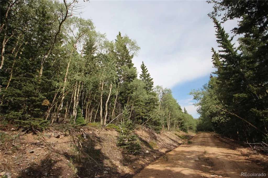 Lot 6573 Ackerman Road San Luis CO 81152