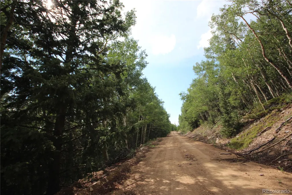 Lot 6573 Ackerman Road San Luis CO 81152