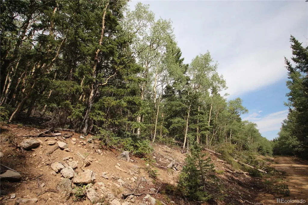 Lot 6573 Ackerman Road San Luis CO 81152