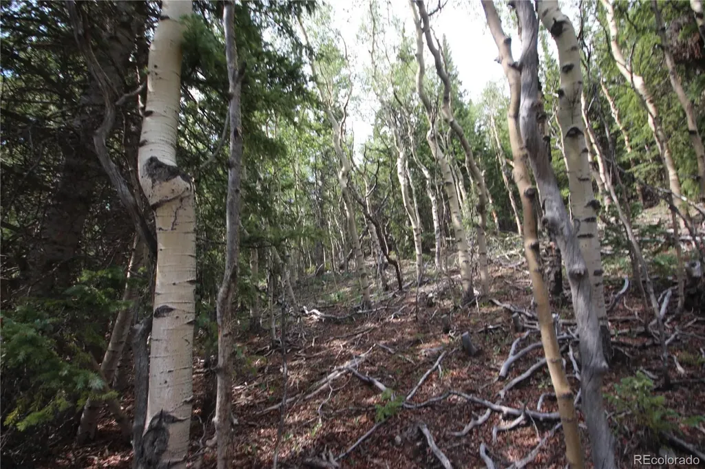 Lot 6573 Ackerman Road San Luis CO 81152