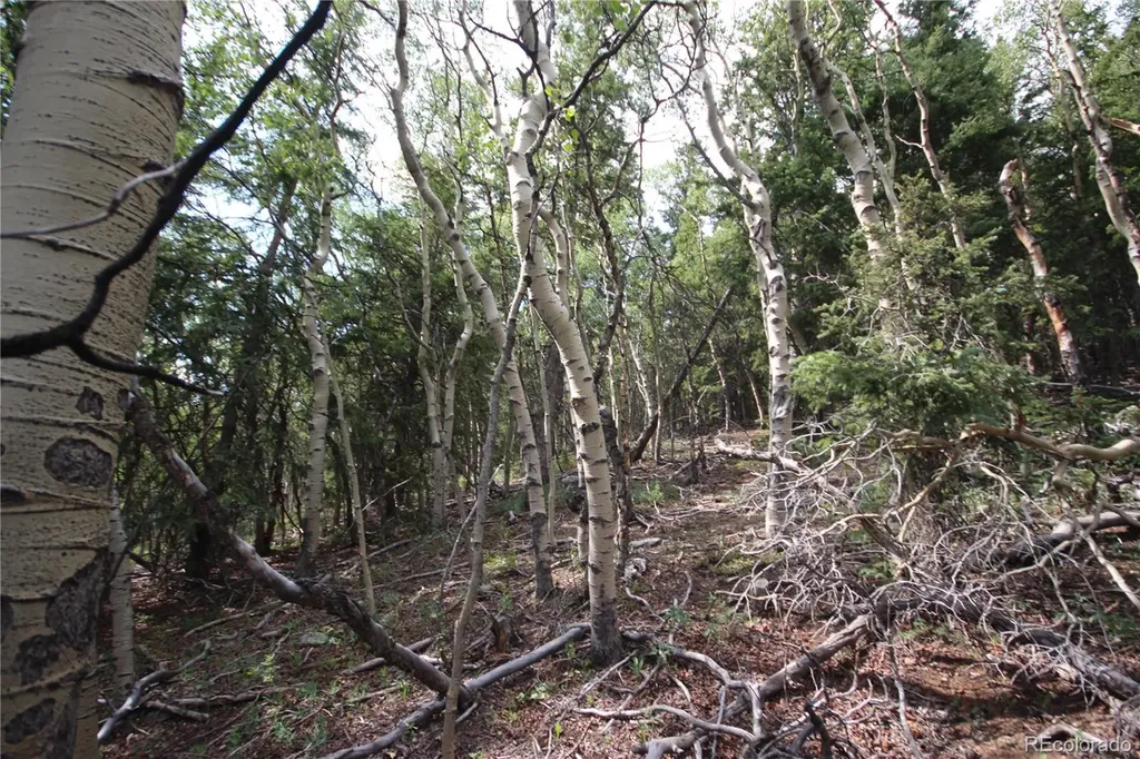 Lot 6573 Ackerman Road San Luis CO 81152