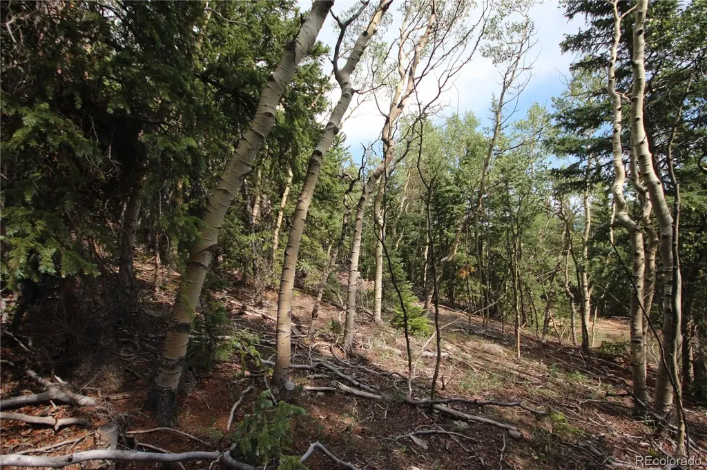 Lot 6573 Ackerman Road San Luis CO 81152