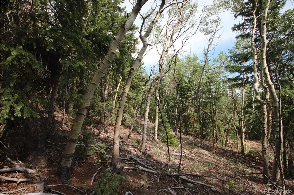 Lot 6573 Ackerman Road San Luis CO 81152