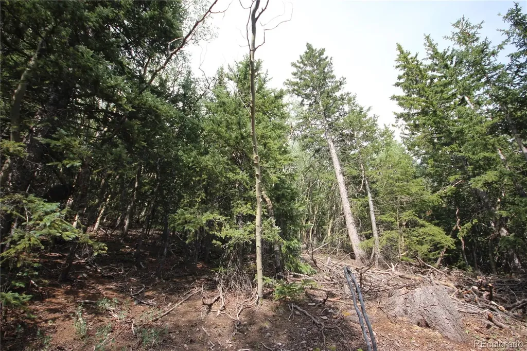 Lot 6573 Ackerman Road San Luis CO 81152