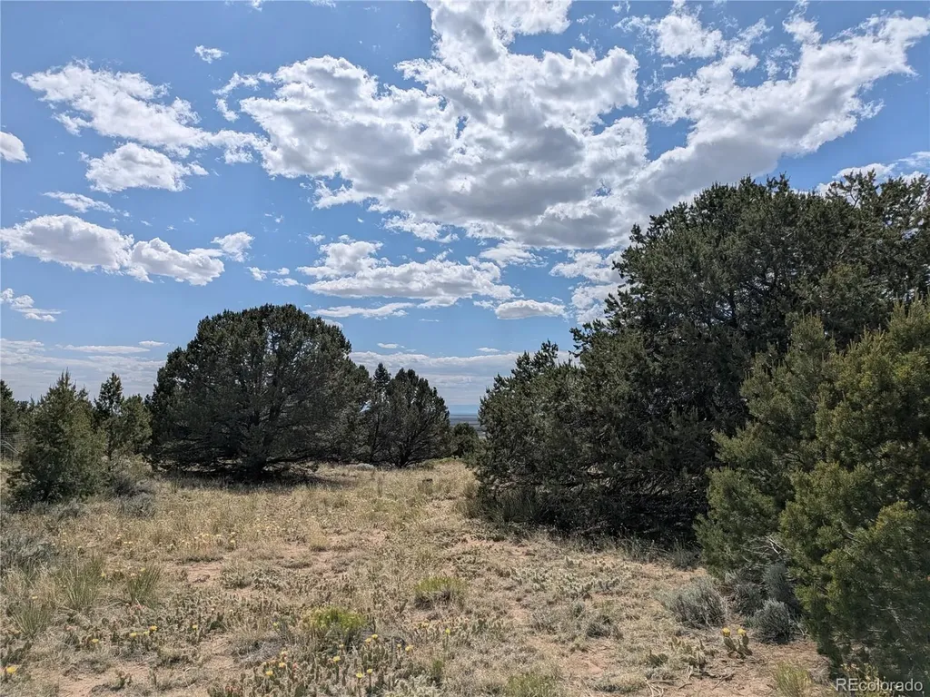3213 Enchanted Court Crestone CO 81131