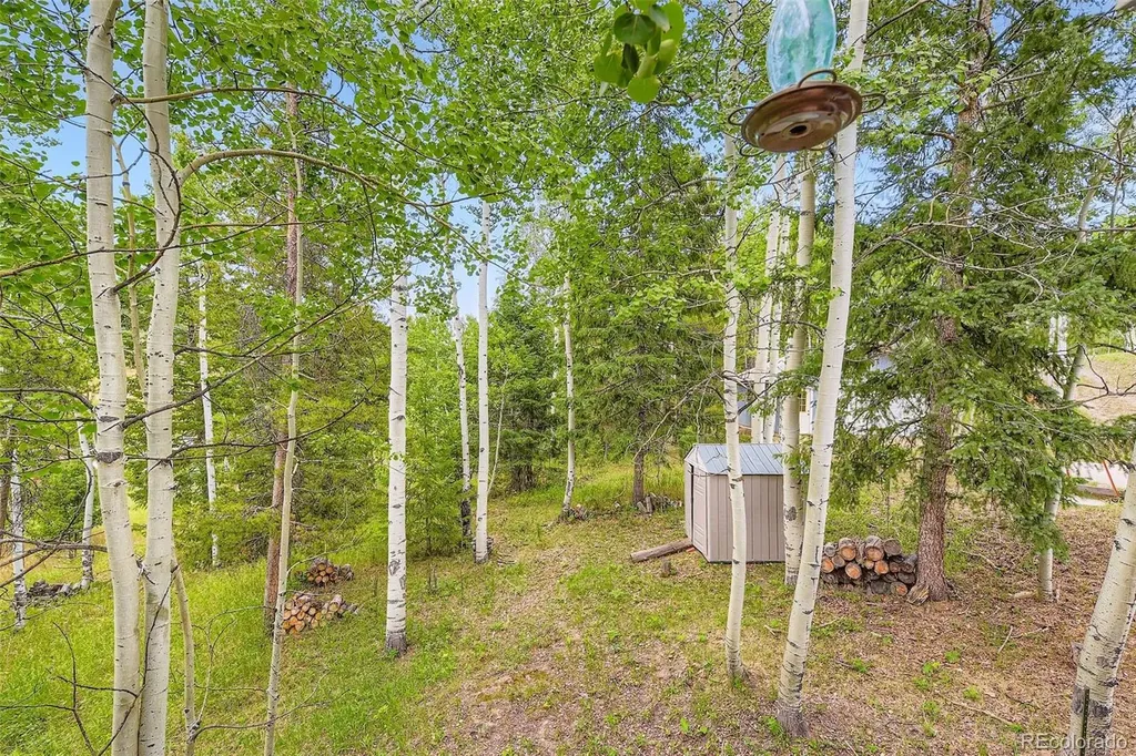 20341 Cypress Drive Morrison CO 80465