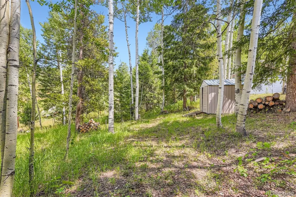 20341 Cypress Drive Morrison CO 80465