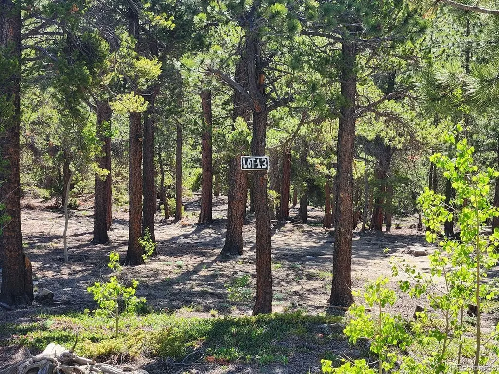 13 Paradise Valley Parkway Black Hawk CO 80422