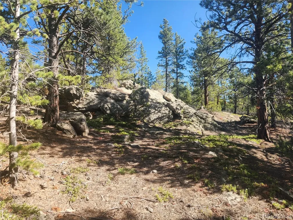 13 Paradise Valley Parkway Black Hawk CO 80422