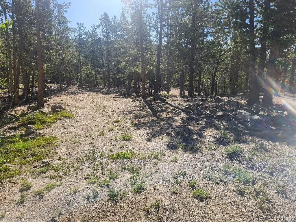 13 Paradise Valley Parkway Black Hawk CO 80422