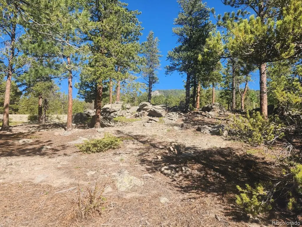 13 Paradise Valley Parkway Black Hawk CO 80422