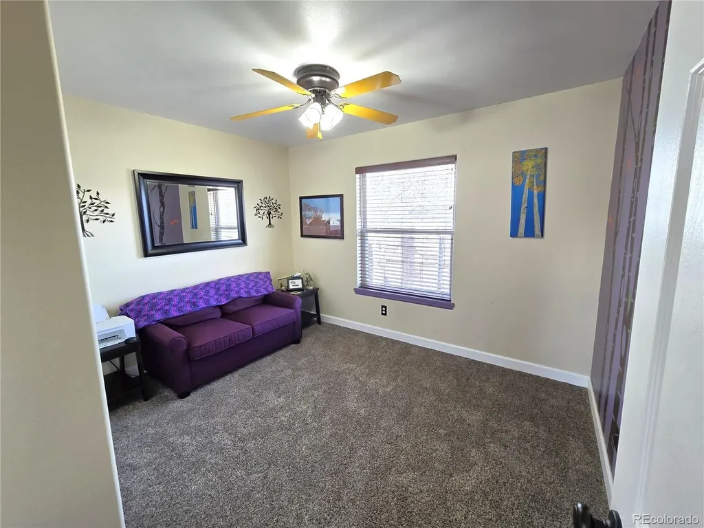 90 Kathy Drive Buena Vista CO 81211
